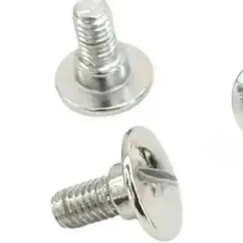 SIDE PANEL SCREW (C.P) (RX.343) 2 pic