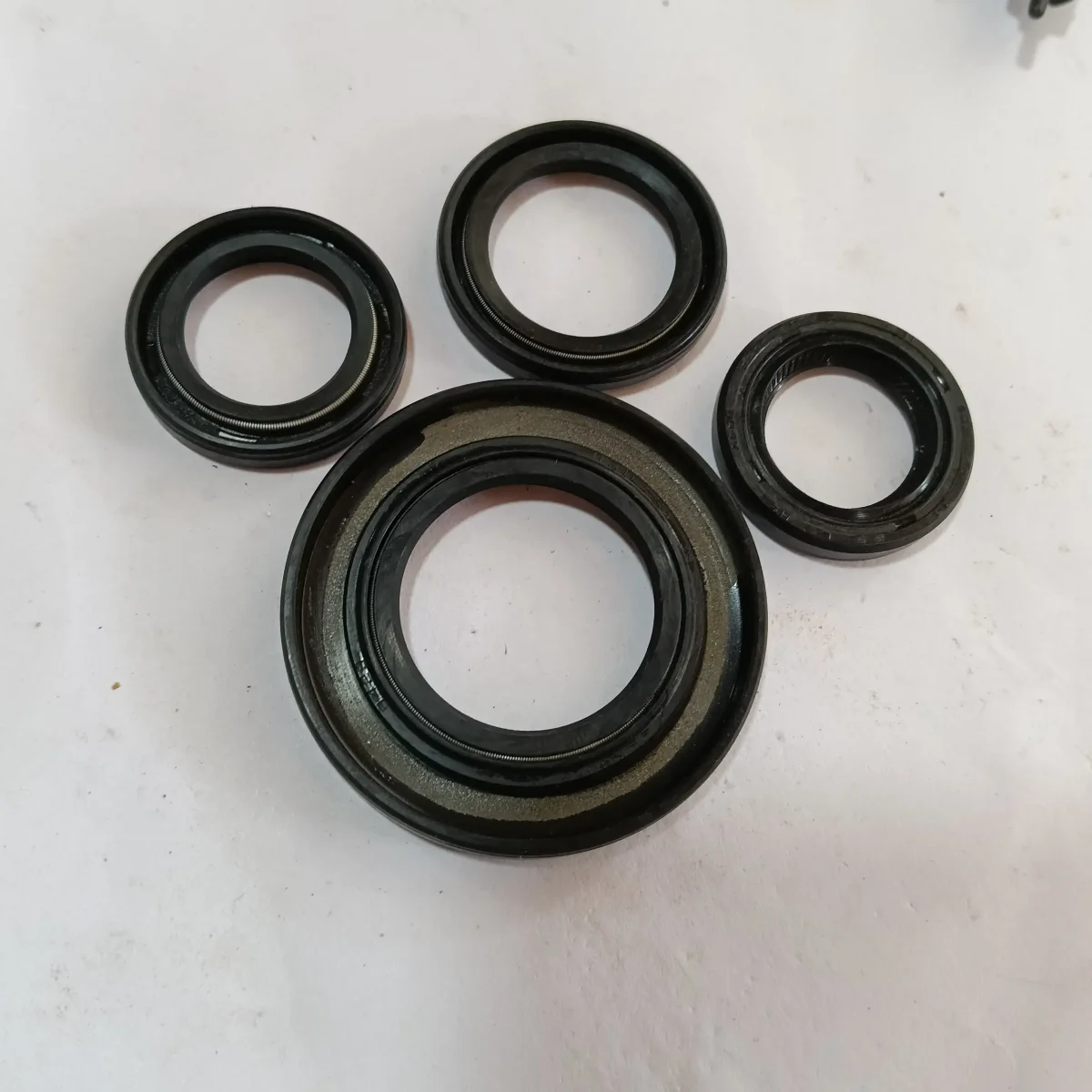 OIL SEAL KIT RAY BS6