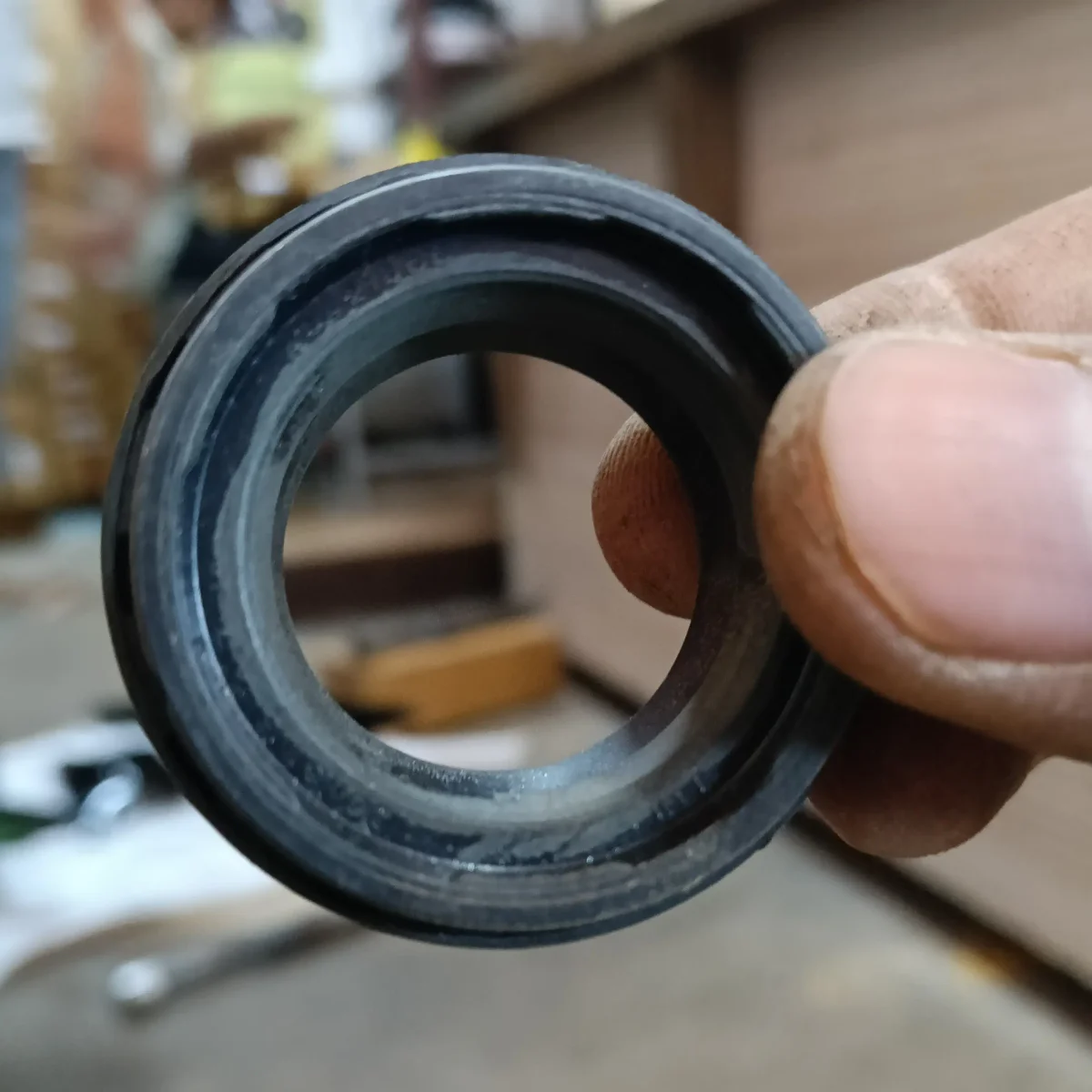 FORK DUST CAP RAY 2
