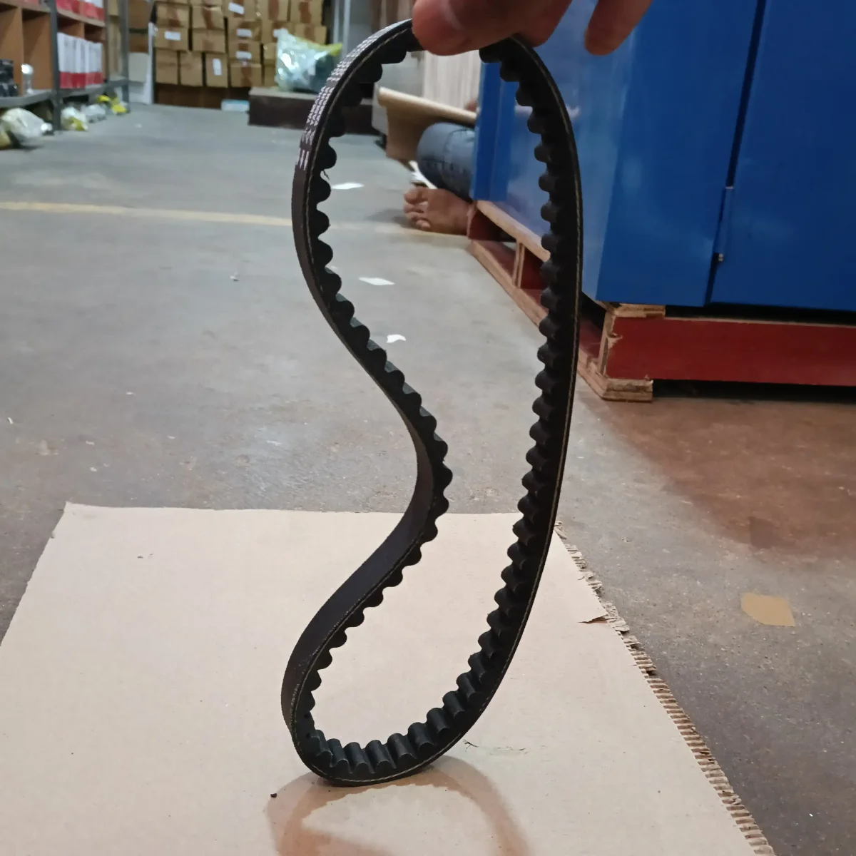 FAN BELT RAY 2