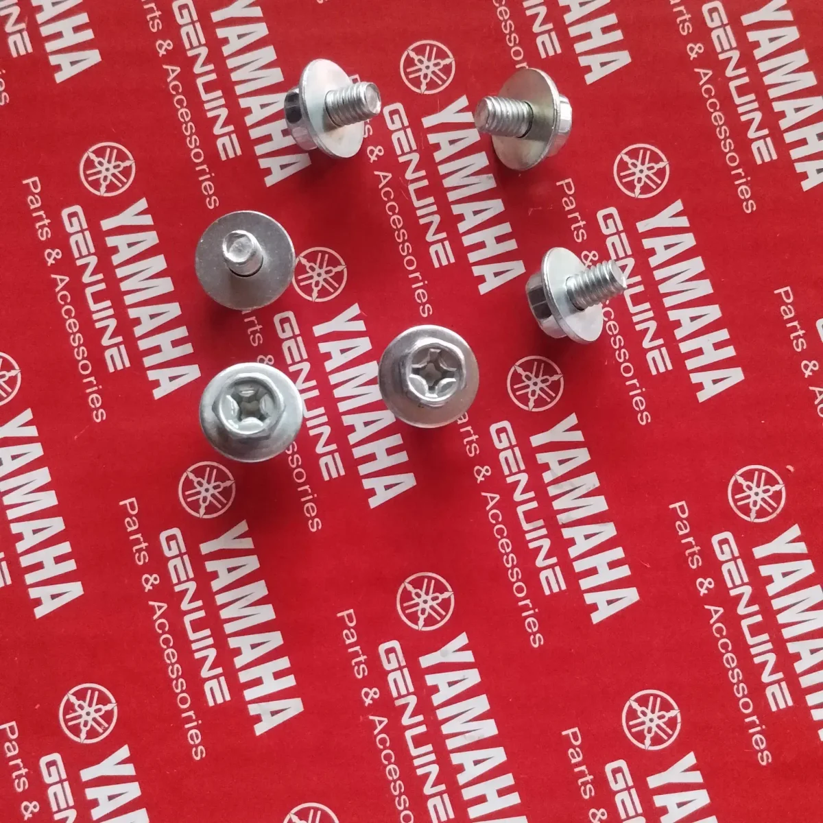 CHAIN COVER SCREW(SMALL)RX100/RX135/RXZ (4Pic) 2