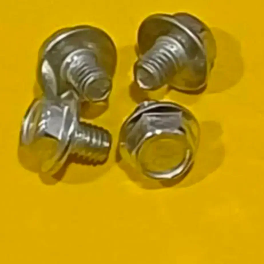 CHAIN COVER SCREW W / W SMALL (RXG.509) (4Pic )