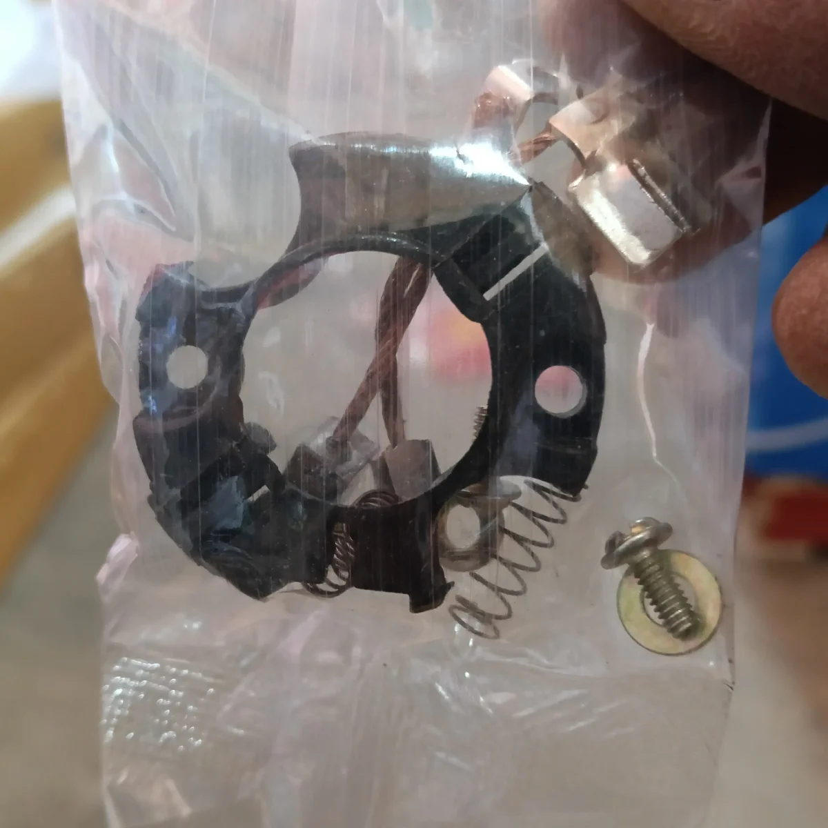 CARBON BUSH KIT RAY 2