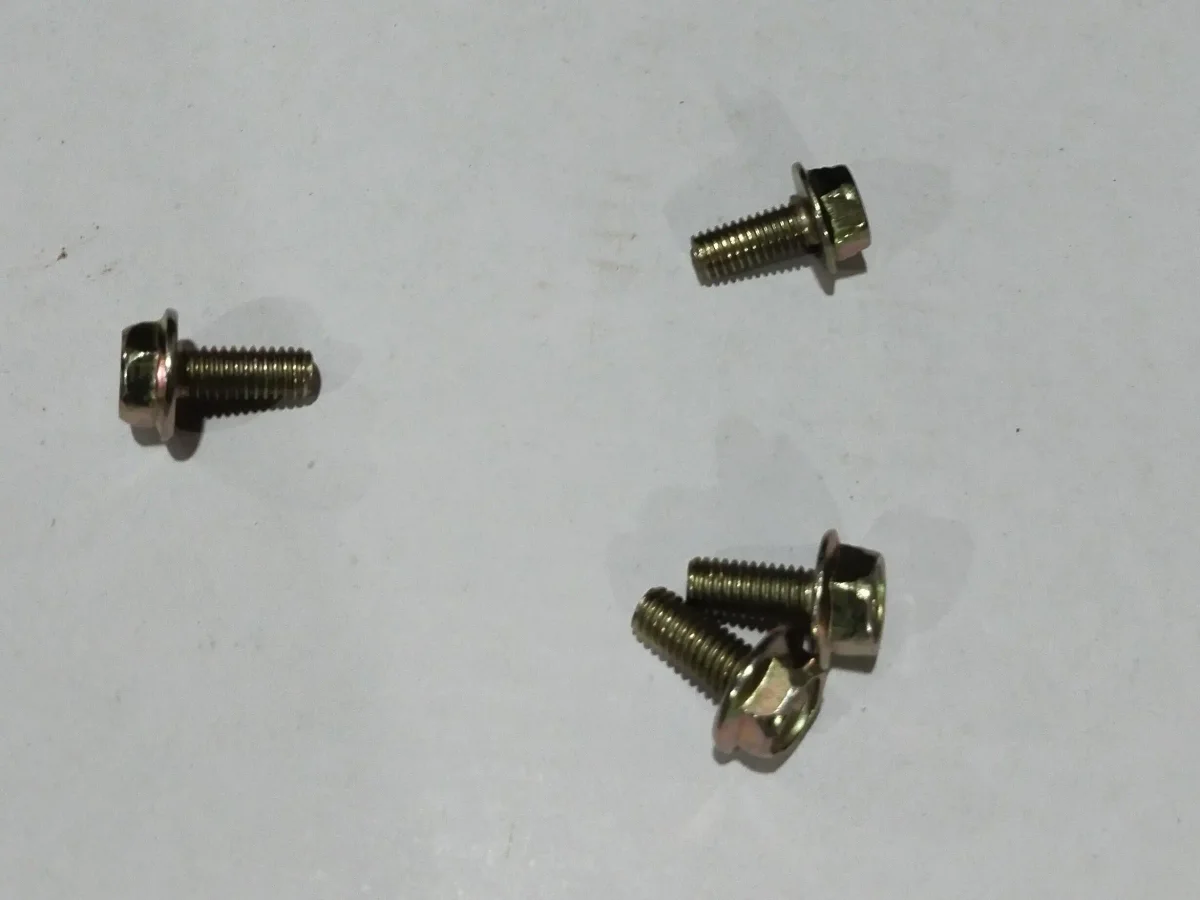REAR MUDGUARD BOLT SET/4 (RX.307)