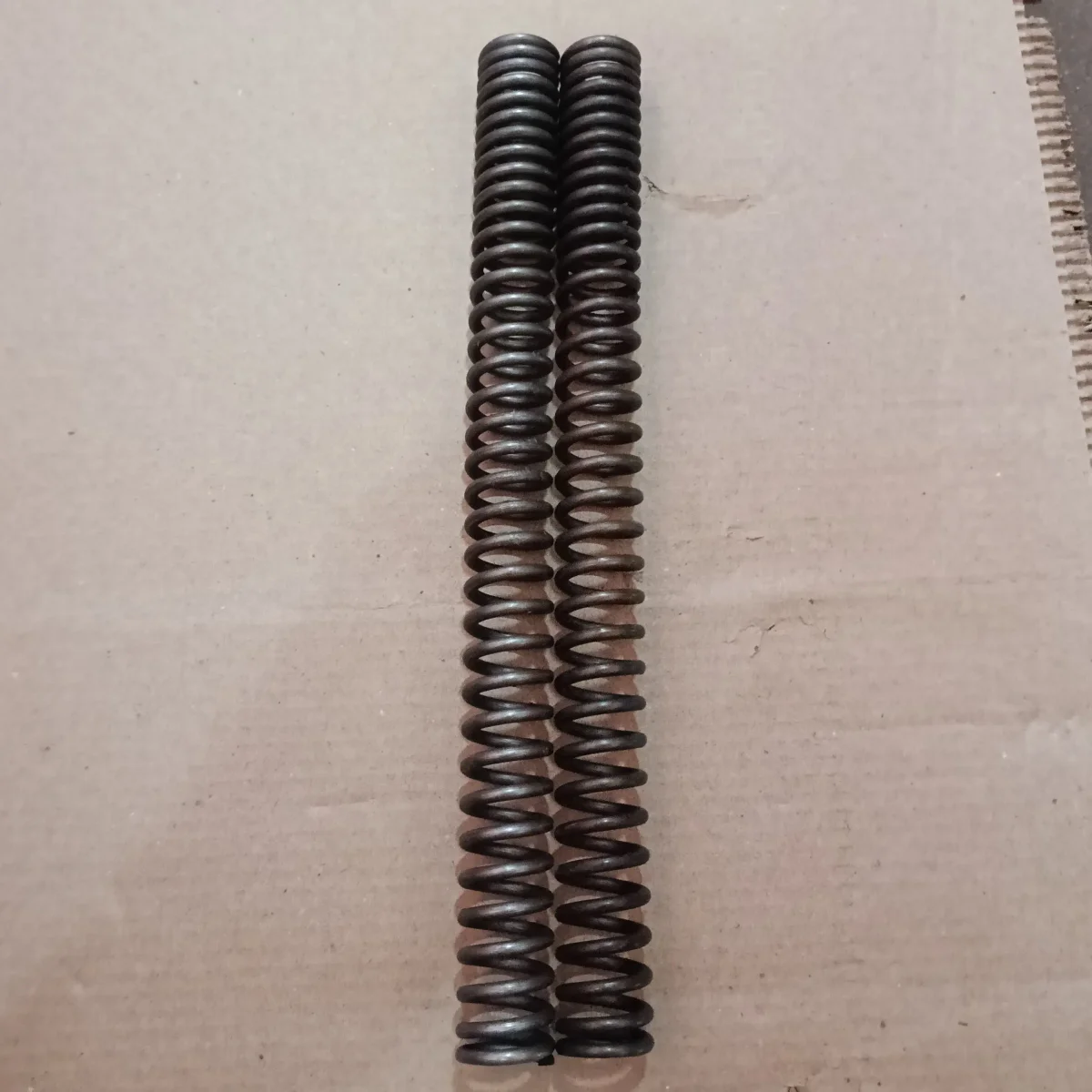 FORK SPRING RAY
