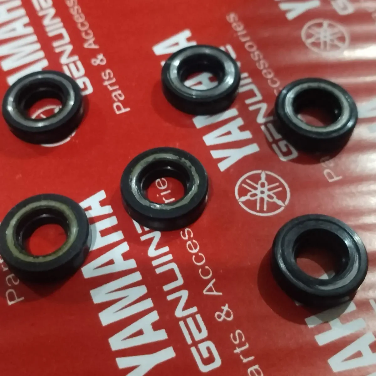 Meter Drive Oil Seal Rx Series 2
