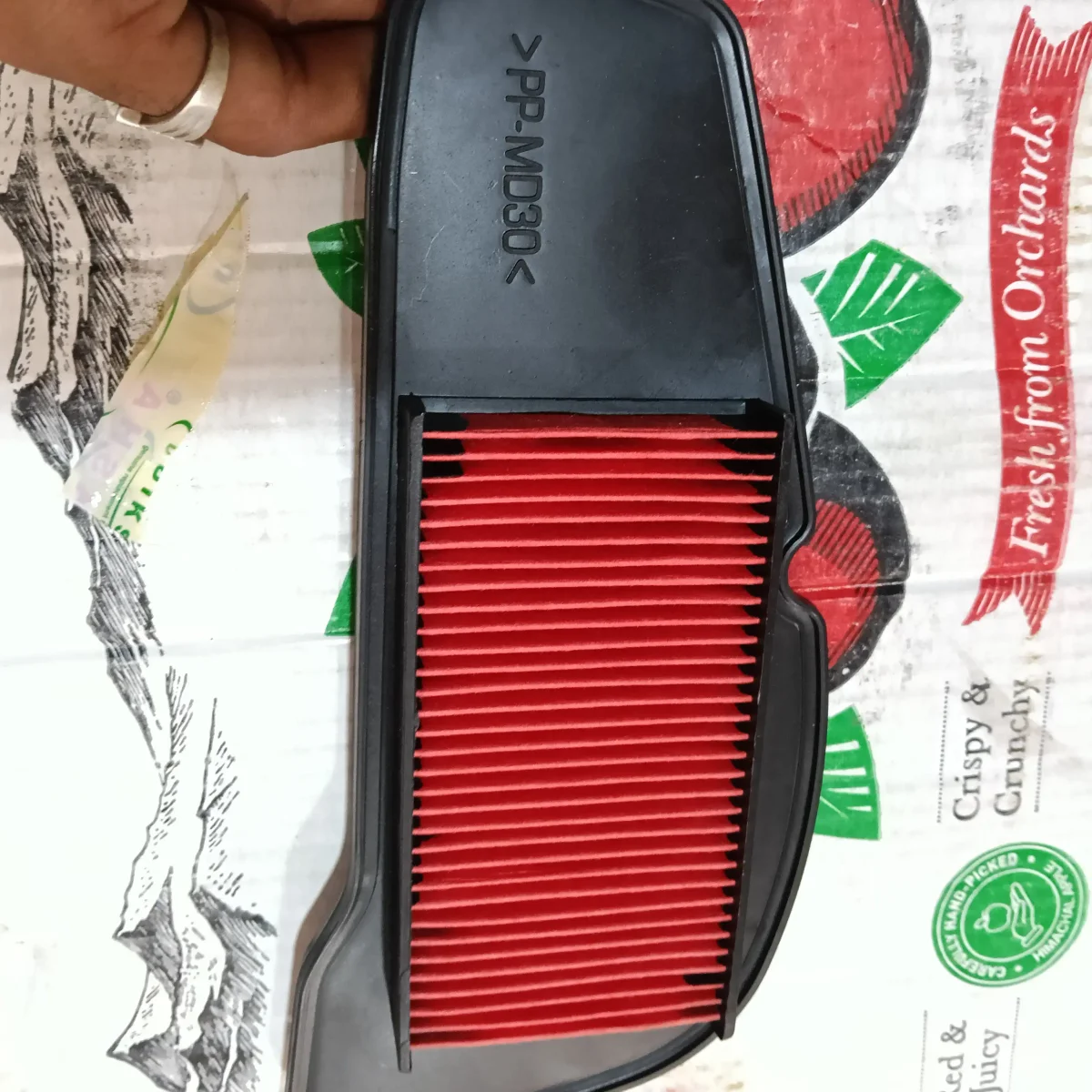 AIR FILTER RAY BS6