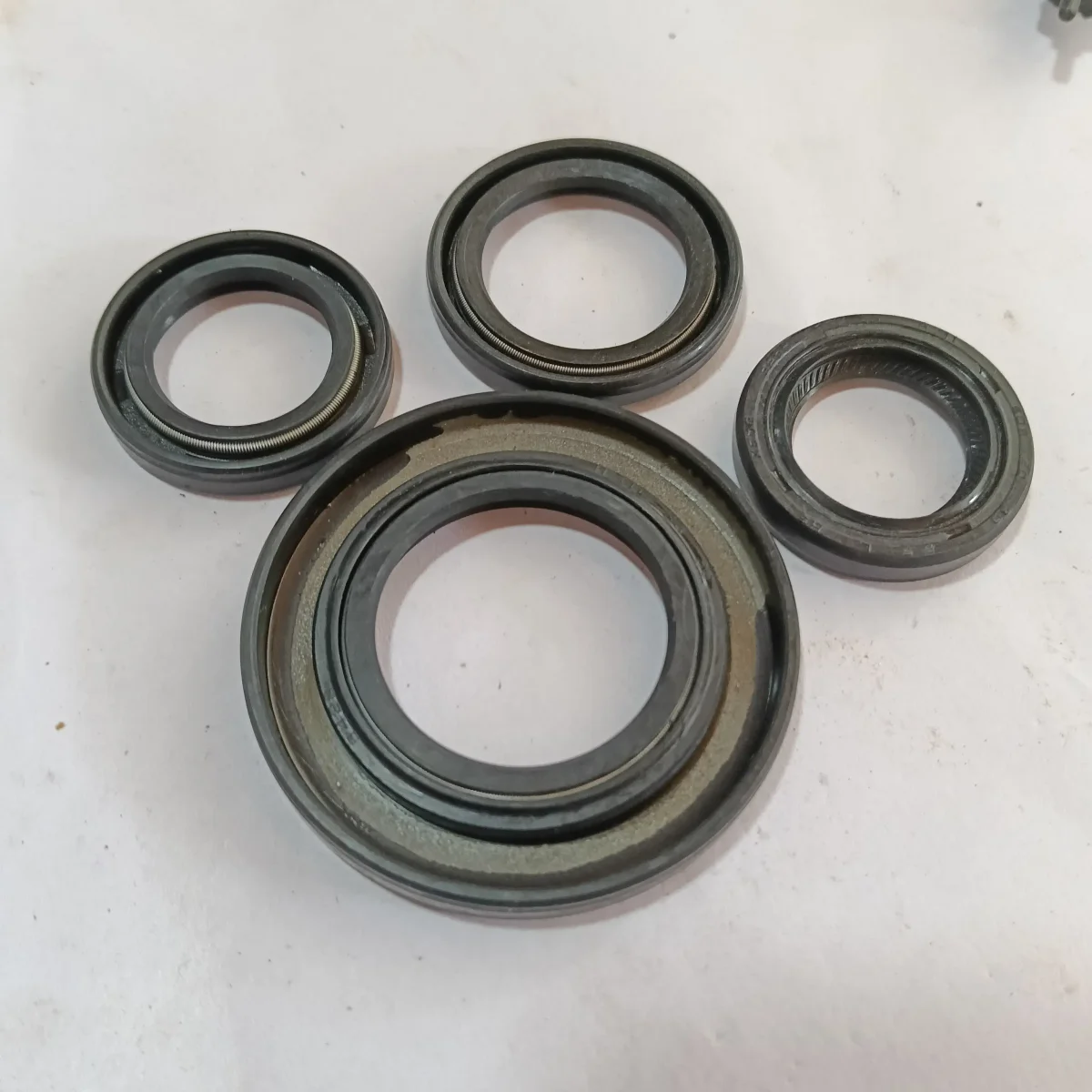 OIL SEAL KIT RAY BS6 2