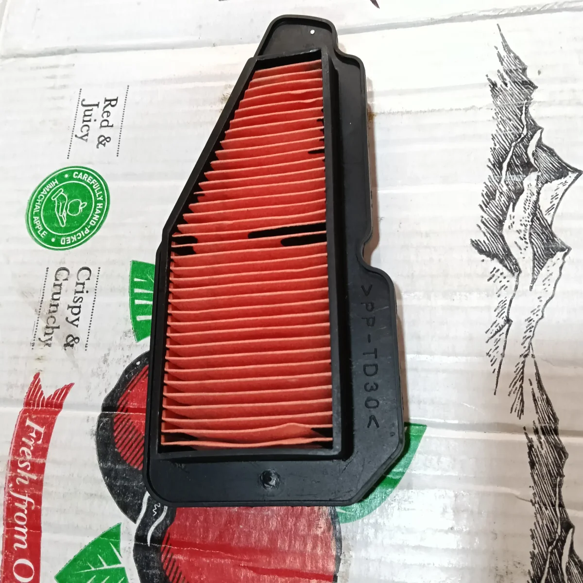 AIR FILTER RAY
