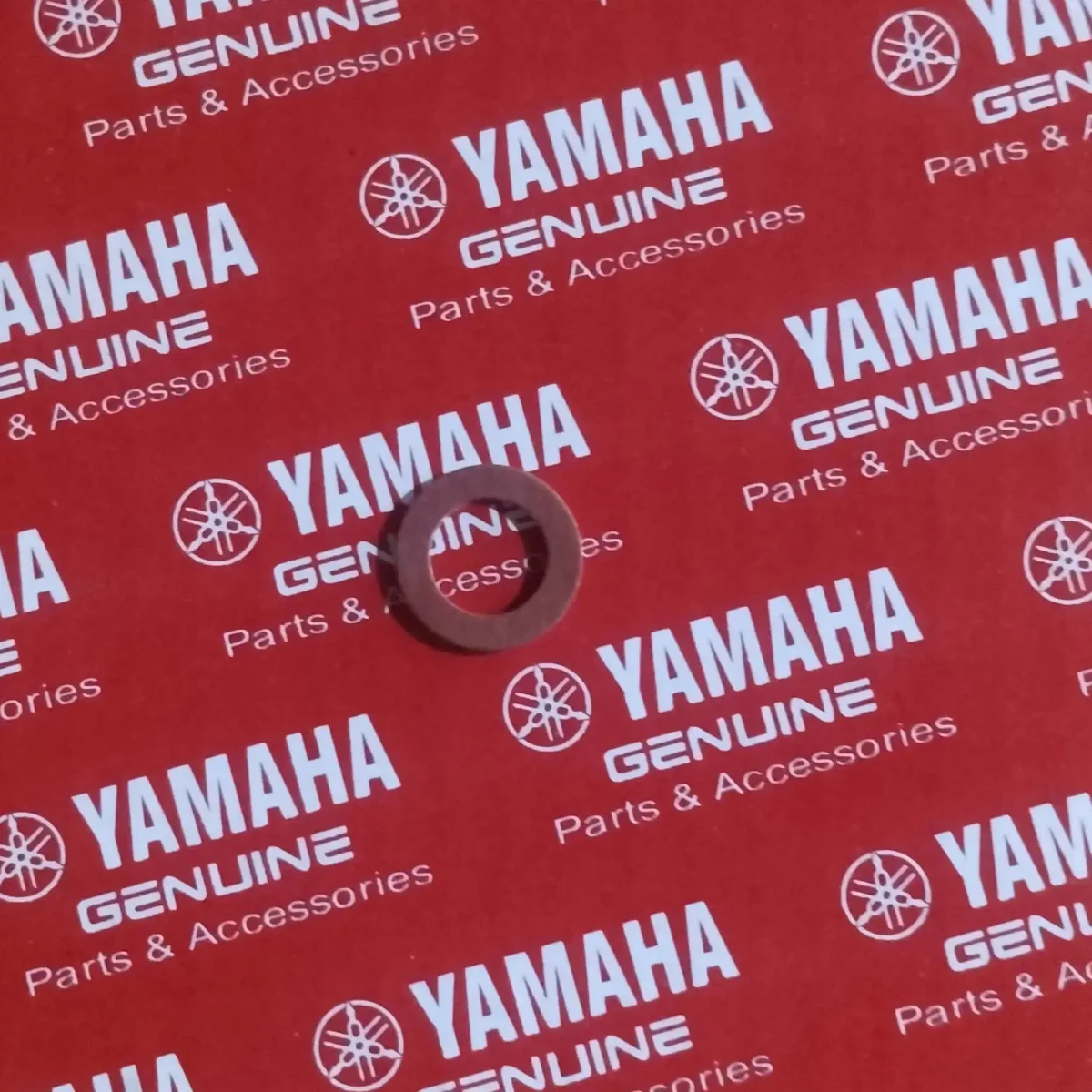 OIL BOLT PACKING