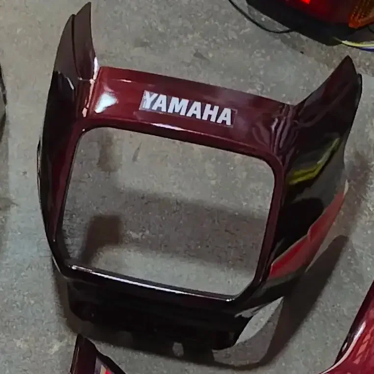 HEAD LIGHT VISOR (MRN) (RXZ.659M)