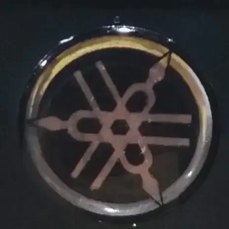 HANDLE PLATE COVER LOGO (RXG.534) 2