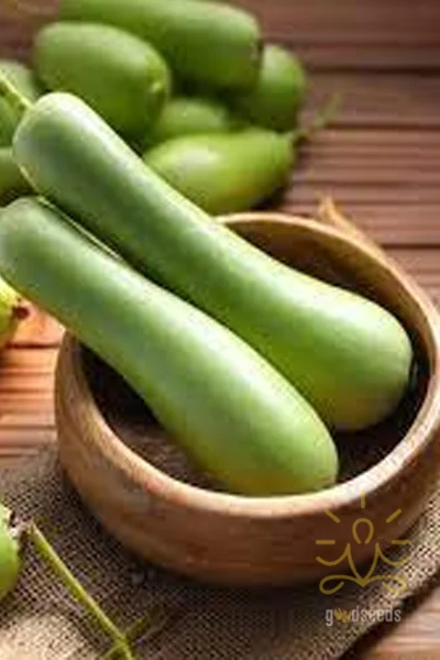 Bottle gourd