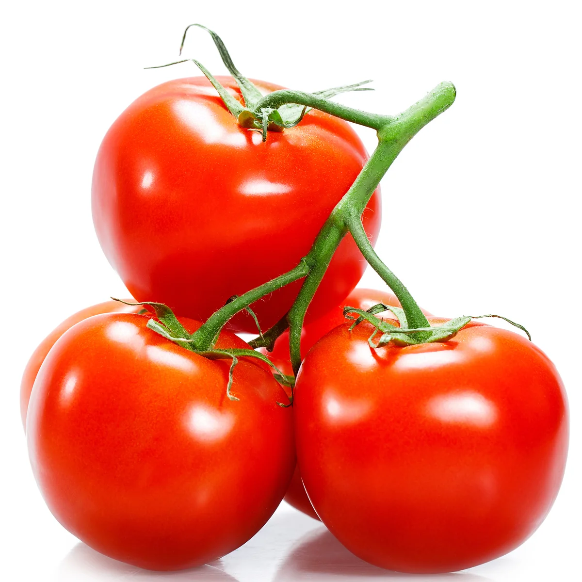 1KG