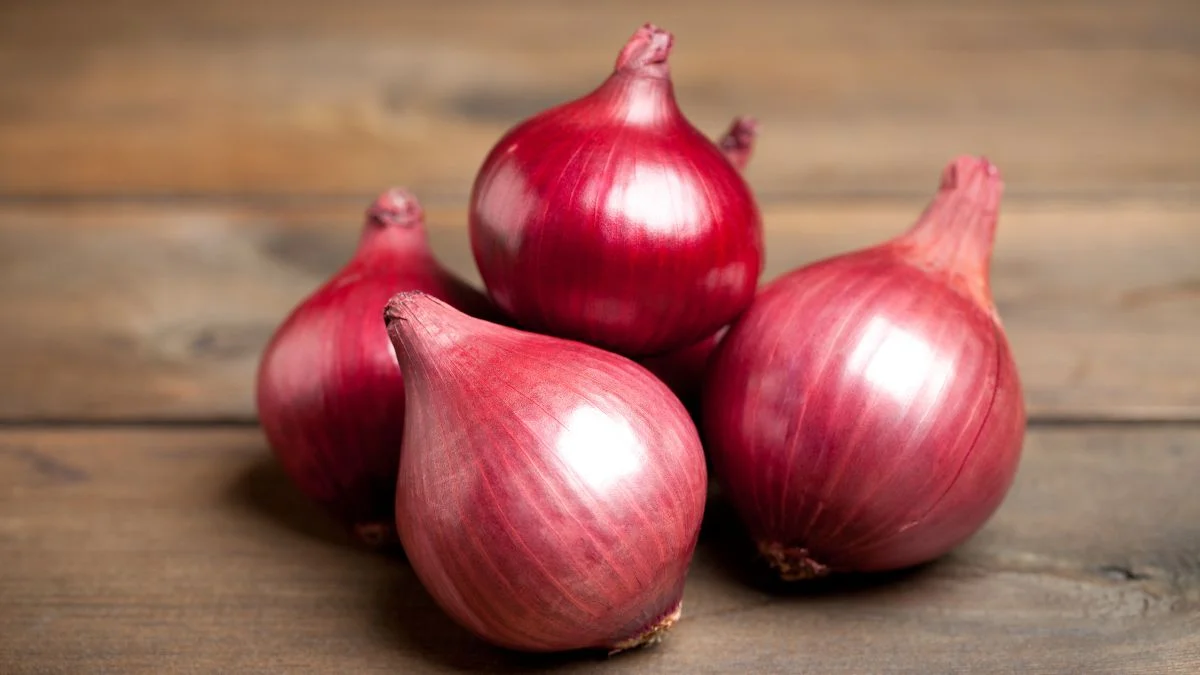 Onion