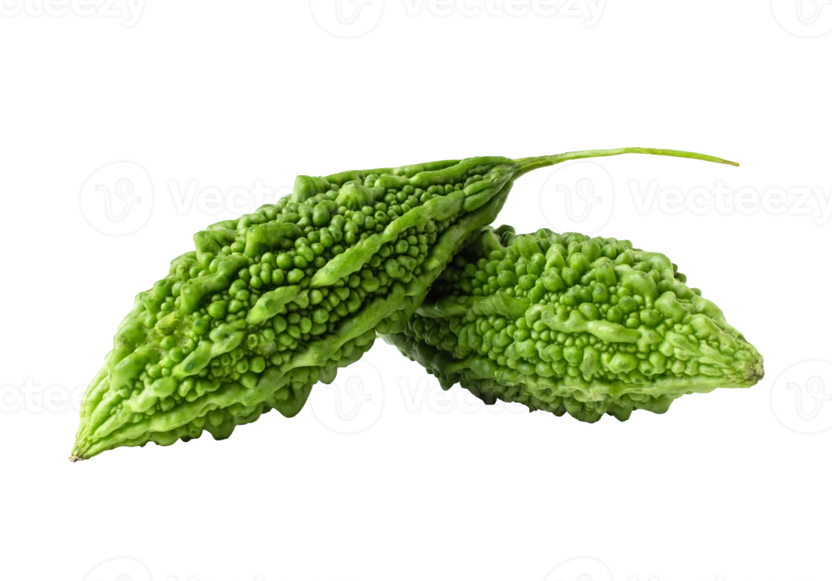 Bitter melon