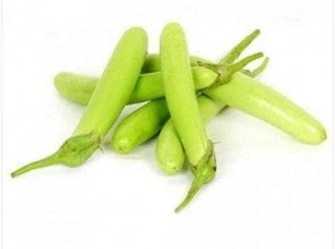 light green brinjal