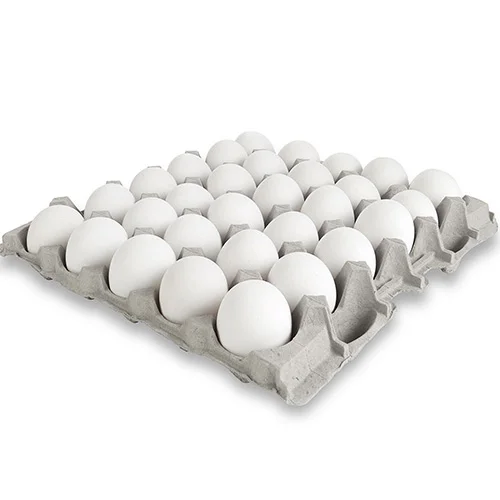 12 Eggs