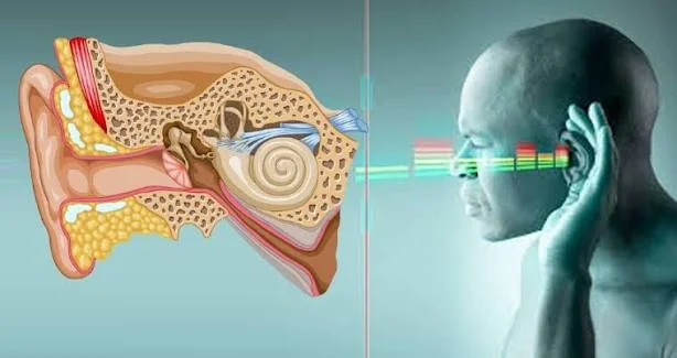Diseases That Cause Hearing Loss: Key Causes & Treatments