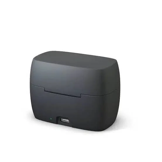 Interton Custom Charger (Presto Rechargeable ITC)
